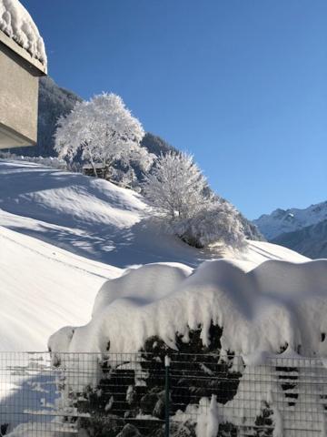 Haus Hubertus Sommerpreise Incl Sommercard Sommercard Partner 耶岑斯 外观 照片